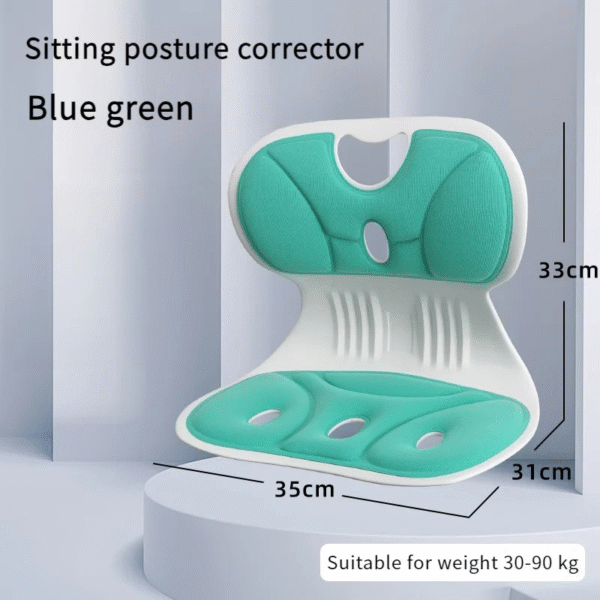 Chair Back Support Cushion - Image 5