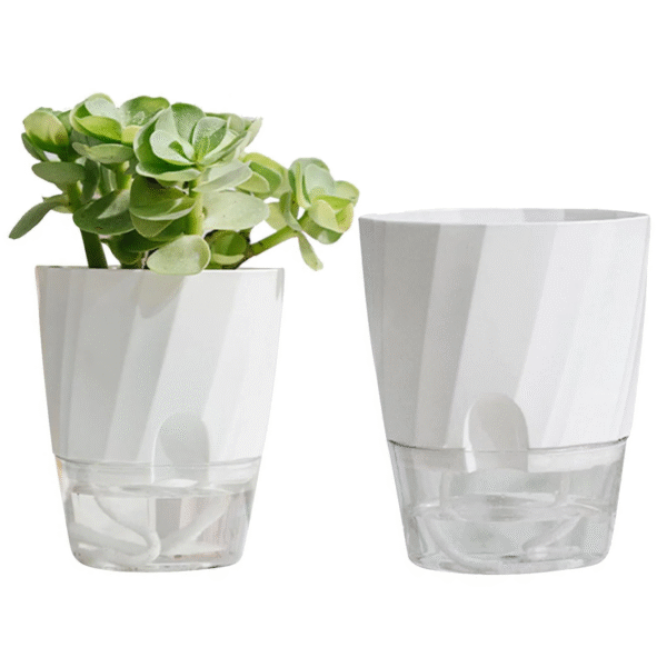 Self Watering Planter - Image 9