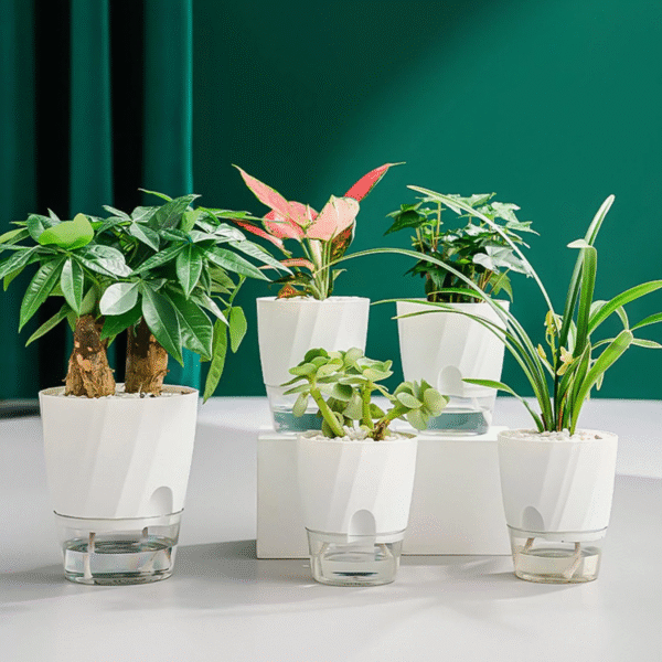 Self Watering Planter - Image 8