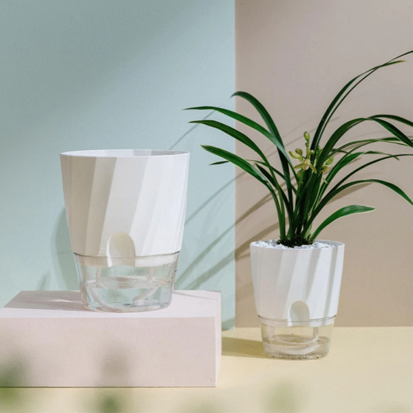 Self Watering Planter - Image 4