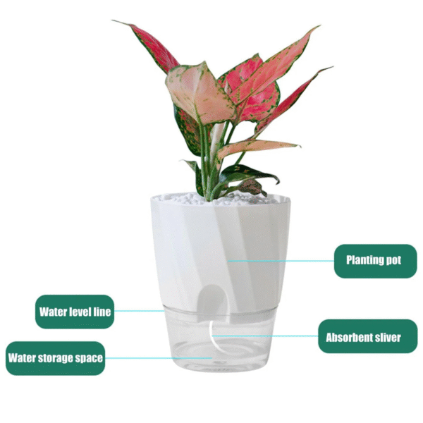 Self Watering Planter - Image 5