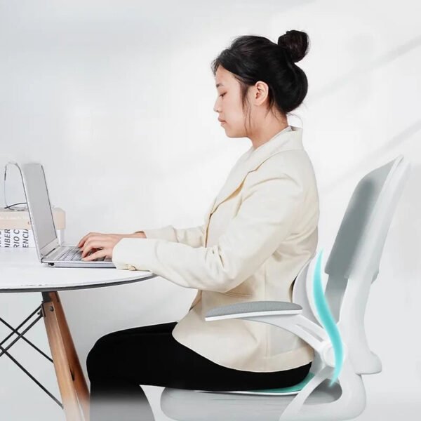 Chair Back Support Cushion - Image 3